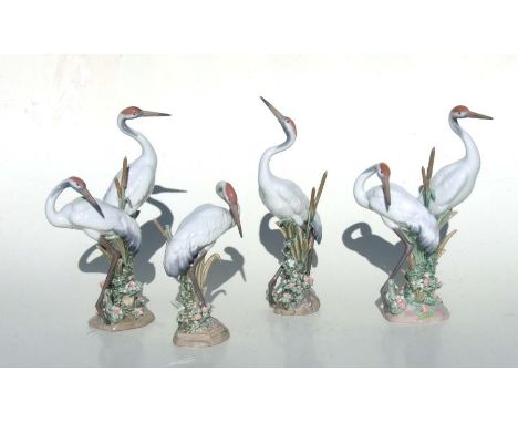 A group of Lladro models of cranes to include Courting Cranes, no. 1611; Preening Crane, no. 1612; and Dancing Crane, no. 161