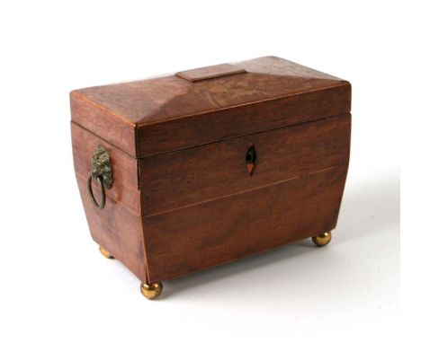 A 19th century mahogany two-division tea caddy of sarcophagus form with lion mask handles, 19cms wide.