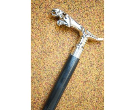 Jaguar handle walking stick 