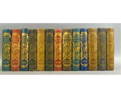 Reeves Popular Nature.- Moore (Thomas), BRITISH FERNS…,, 1851 § Jukes (J. Beete) PHYSICAL GEOLOGY, 1853 § Archer (Thomas Crox