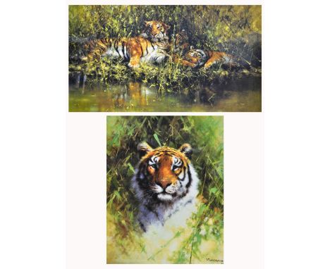 DAVID SHEPHERD; colour print "Portrait of a Tiger", limited edition 165/200, signed lower right, image size 56 x 45cm. David 