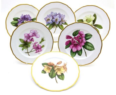 Fine set of six Spode rhododendron specimen plates, hand painted by W. Hall and K. Pickin, decorated in colours against a whi