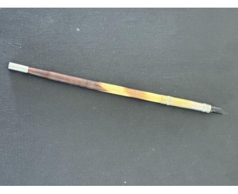 Porcupine quill pen 