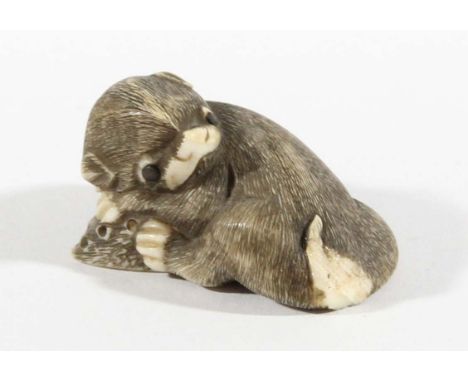 JAPANESE IVORY NETSUKE, of a young beaver or otter on a shell, length 3.5cm