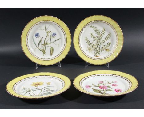 SET OF TWELVE DERBY BOTANICAL PLATES, circa 1790, pattern 216, painted with a large botanical specimen inside a canary yellow