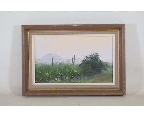 Framed Landscape Painting by Pamela Derry  This painting is a serene depiction of a countryside landscape with green grass, w