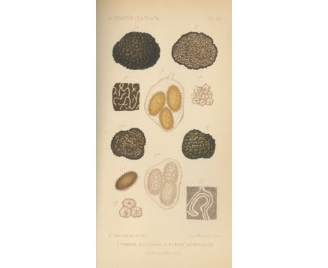CHATIN (ADOLPHE)La Truffe. Botanique de la Truffe et des plantes truffières - Sol - Climat - Pays producteurs... Culture - Ré