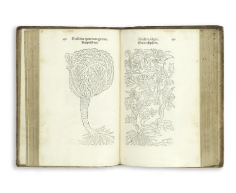 FUCHS (LEONHARD)Primi de stirpium historia commentatiorum tomi vivae imagines,  woodcut printer's device on title, 516 full-p