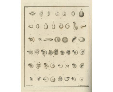 KENT - TOPOGRAPHY AND NATURAL HISTORYBOYS (WILLIAM) Testacea minuta rariora... A Collection of the Minute and Rare Shells, la