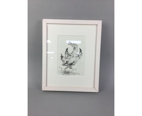 LOT OF PICTURES AND PRINTS