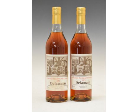 Wines & Spirits - Delamain Grand Champagne Cognac 1975, two bottles (2)  Condition: Light staining to label, seal and level a