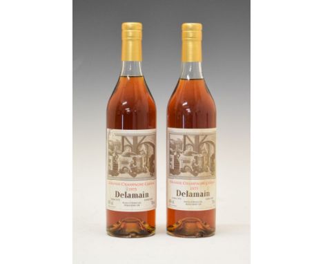 Wines & Spirits - Delamain Grand Champagne Cognac 1975, two bottles (2)  Condition: Light staining to label, seal and level a