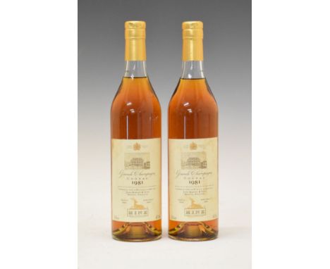 Wines & Spirits - Hine Grande Champagne Cognac 1981, two bottles (2)  Condition: Light staining to label, seal and level appe