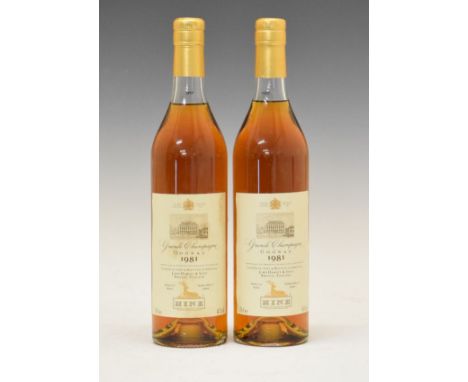 Wines & Spirits - Hine Grande Champagne Cognac 1981, two bottles (2)  Condition: Light staining to label, seal and level appe