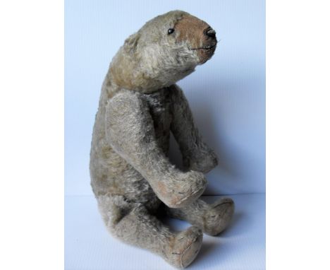 A Steiff Polar Bear, mohair with elongated head, black stitched nose and claws, boot button eyes, and jointed limbs with felt