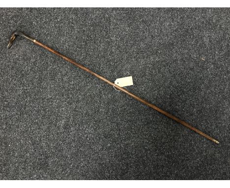 A Victorian cane sword stick with horn grip, the white metal collar with inscription 'Presented to Mr A Nicol by Mr Franklin,