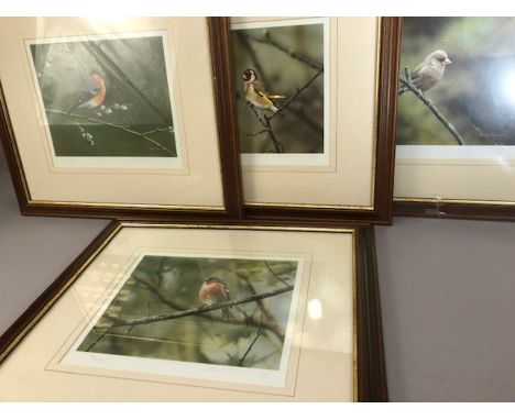Collection of Framed Limited Edition Steven Townsend Prints of Finches all framed and all 91/400