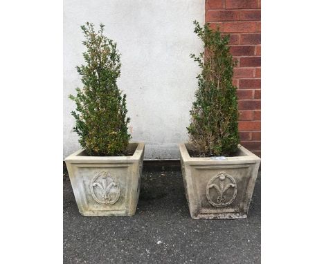 Pair of garden planters with box trees, each planter approx 33cm in height