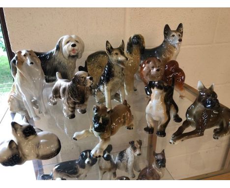 Very large collection of ceramic dogs and cats in varying sizes 