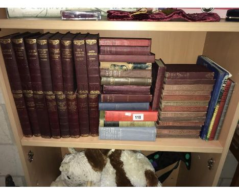 A shelf of vintage books