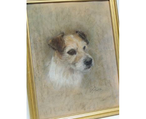 ANNA FRASER (20th Century British) - Portrait of a terrier, pastel, signed, 34.5cms x 27cms