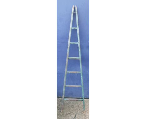 An orchard ladder
