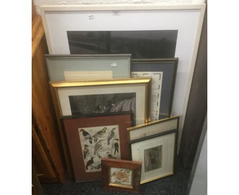 A quantity of pictures and prints