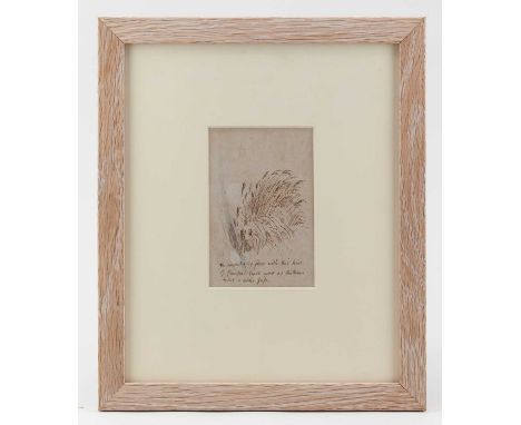 † BERNARD LEACH (1887-1979); an ink on rice paper sketch of pampas grass, 12.5 x 8cm, framed and glazed.   Provenance: An ext