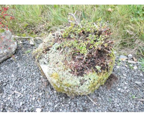 Antique carved sandstone circular planter / trough. Height 21cm, Diameter 44cm.
