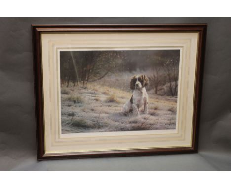 Stephen Townsend, a signed limited edition print titled "Dash", depicting a Springer Spaniel, 196/600 and with a Northern Edi