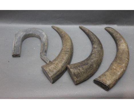 Of stick making interest - Three Buffalo horns and a partially shaped Buffalo horn crook handle.