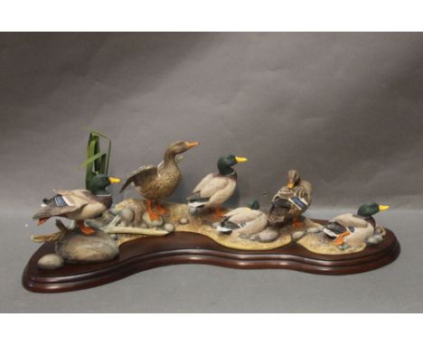 Border fine Arts a limited edition figure of Mallards by R Roberts 2002, numbered 1125/1250, model No. A1872.