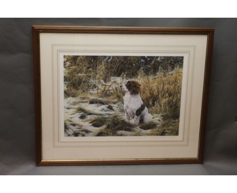 Stephen Townsend, a signed limited edition print of a Springer Spaniel, 523/675 and with a Northern Editions blind stamp, 38 