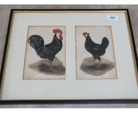 Two 19th Century coloured prints in frame, Hamburg Black Male and Female Chickens