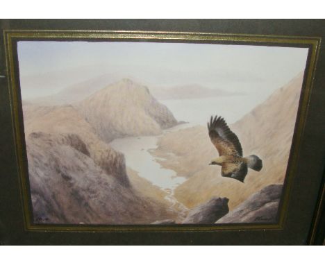 Philip Snow - Golden Eagle Over Loch Corvisk, Skye, watercolour. 8" x 6". Signed on front in bottom right corner. Documentati