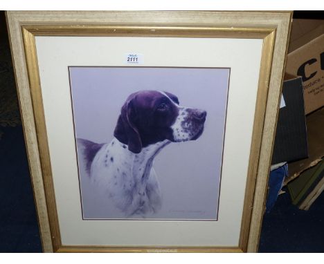 A framed Print of a Pointer.