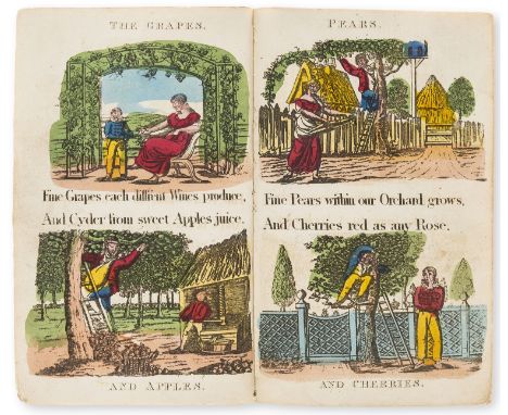 Wine and cider.- Belch (William) W. Belch's Book of Fruit &amp; Flowers, 8ff., printed on one side only, hand-coloured woodcu