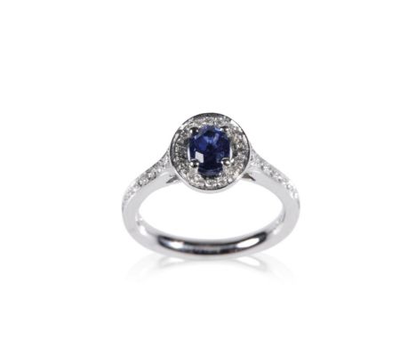 RICH HAYES SAPPHIRE AND DIAMOND RING, mounted in platinum, set with an oval sapphire, approximately .95ct, and pave set with 