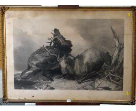 R. ANSDELL &amp; H.T RYALL ANTIQUE ENGRAVING - two stags in a landscape entitled 'Combat'. 75 x 106cms, together with a frame
