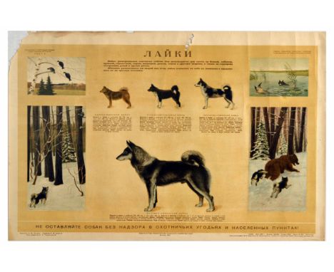 Original vintage Soviet advertising poster informing the reader about Laika hunting dogs, designed by L. M. Fomin for the Sov