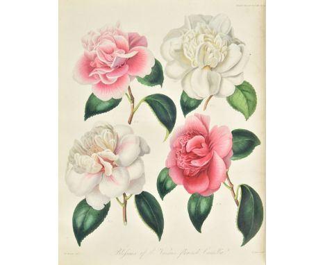 Horticultural Society of London. Transactions of the Horticultural Society of London, First Series, Volumes 1-7, & Second Ser