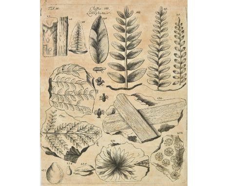 Lhuyd (Edward). Lithophylacii Britannici Ichnographia sive Lapidum aliorumq; Fossilium Britannicorum singulari figura insigni
