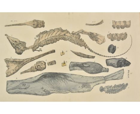 Young (Rev. George). A Geological Survey of the Yorkshire Coast: Describing the Strata and Fossils occurring between the Humb