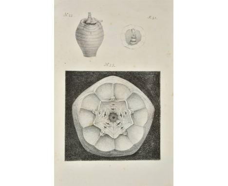 Cumberland (George). Reliquiae Conservatae, from the Primitive Materials of our Present Globe, with Popular Descriptions of t