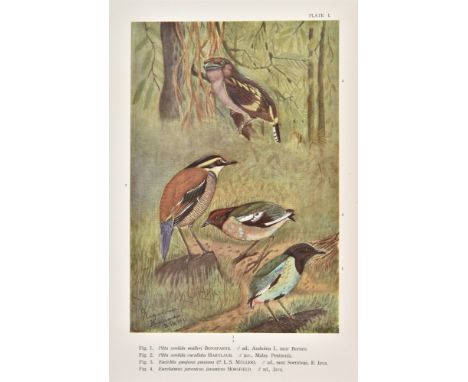 Kuroda, Nagamichi, Birds of the Island of Java, 2 volumes, Tokyo, published by the author, Tokyo, 1933-36, 34 colour plates, 