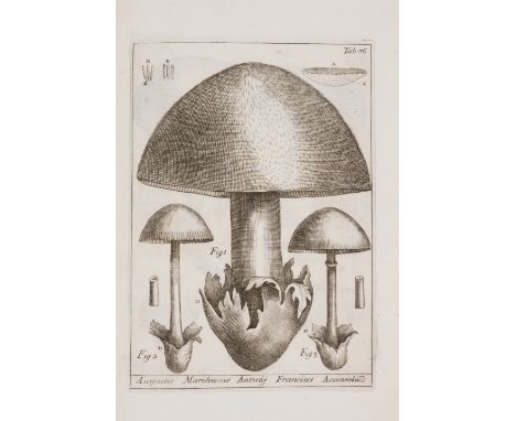 Mycology.- Micheli (Pietro Antonio) Nova Plantarum Genera iuxta Tournefortii Methodum Diposita, first edition, title in red a