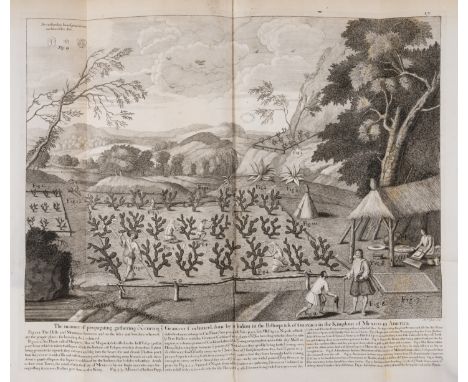 West Indies.- Sloane (Sir Hans) A Voyage to the Islands of Madera, Barbados, Nieves, S. Christophers and Jamaica, with the Na