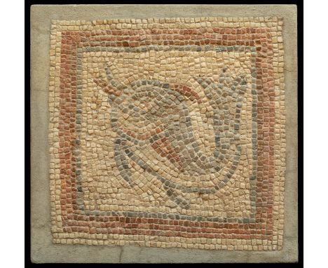 Roman mosaic from the 2nd century AD. Opus tessellatum. Measures: 50 x 50 cm; 56 x 57,5 cm. Roman mosaic dated from the 2nd c