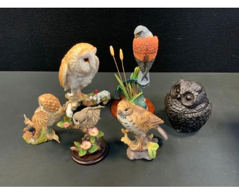 Ceramics &amp; Glass - a Border Fine Arts Model Kestrel;  others Country Artist Owls etc;  Wildman Foley trio;  lead crystal 