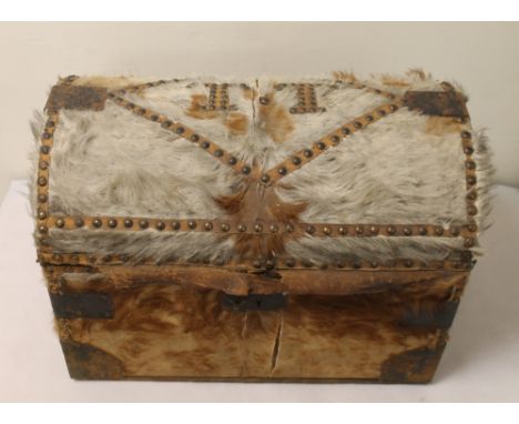 19th century domed top wooden trunk bound in cow hide, with applied initials "T.T" and riveted borders.